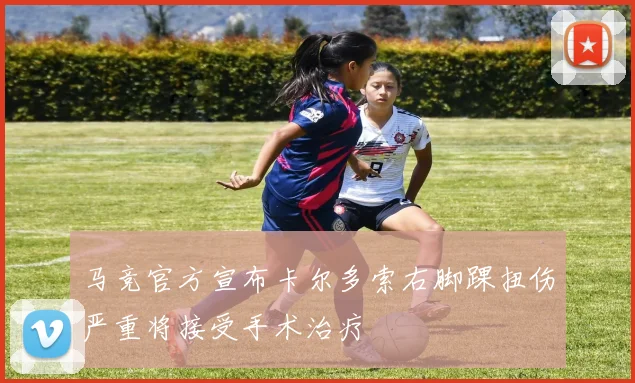 马竞官方宣布卡尔多索右脚踝扭伤严重将接受手术治疗