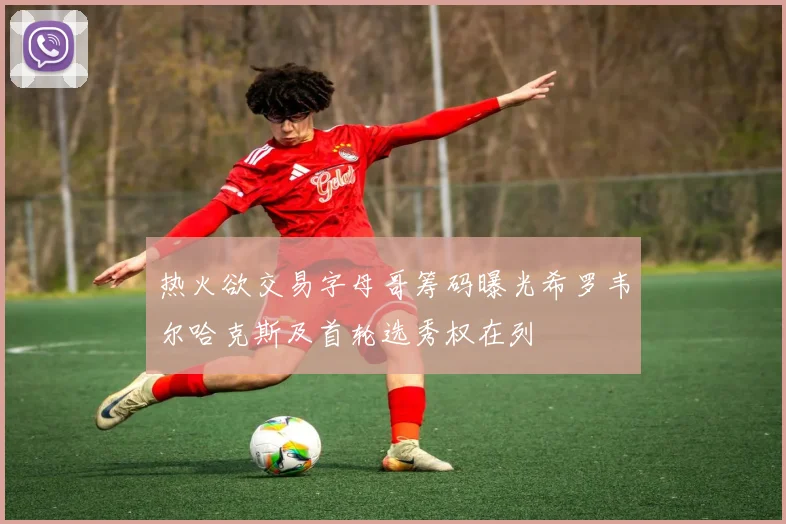 热火欲交易字母哥筹码曝光希罗韦尔哈克斯及首轮选秀权在列