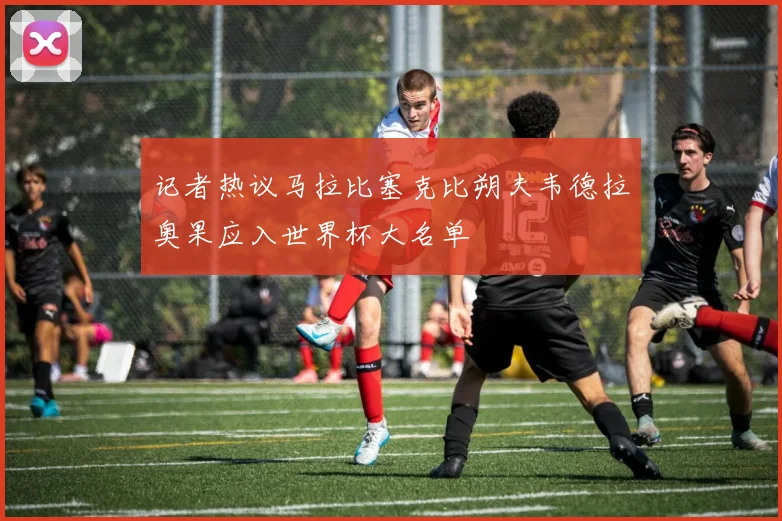 记者热议马拉比塞克比朔夫韦德拉奥果应入世界杯大名单